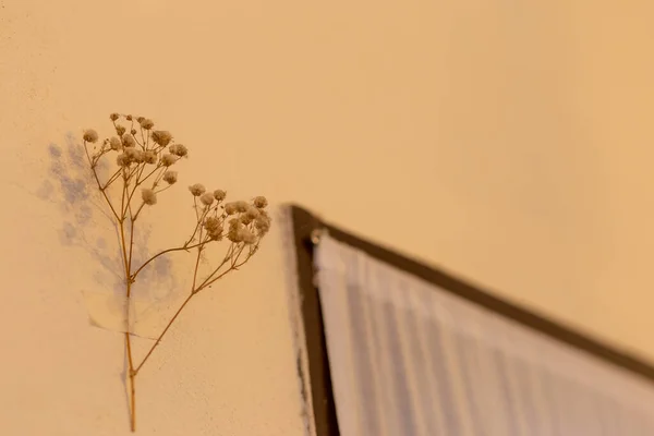 Επιλεκτική Εστίαση Αποξηραμένα Λουλούδια Διακοσμημένα Vintage Στυλ Μια Μικρή Καφετέρια — Φωτογραφία Αρχείου
