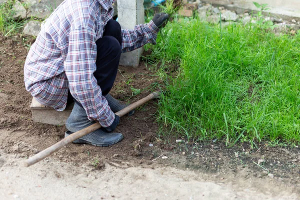 Enfoque Selectivo Hierba Verde Claro Frente Casa Una Abuela Asiática — Foto de Stock