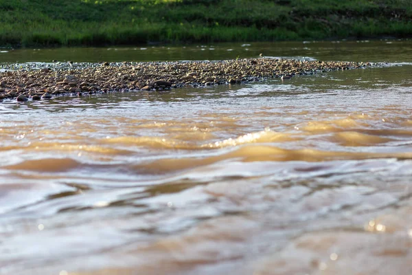 Enfoque Selectivo Rocas Ribera Del Río Nivel Del Agua Está — Foto de Stock