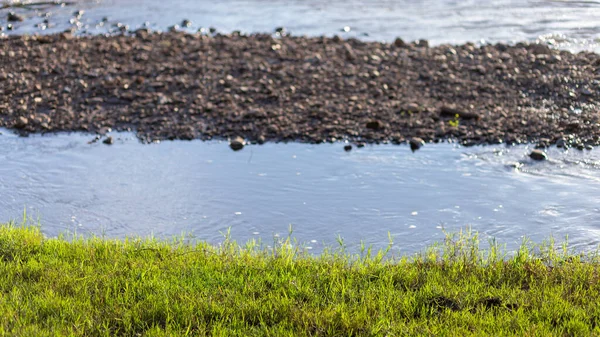 Enfoque Selectivo Hierba Césped Verde Claro Borde Del Agua Imágenes — Foto de Stock