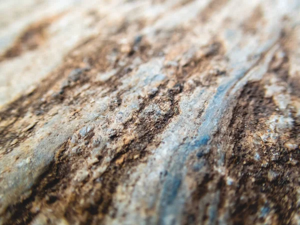 Selective Focus Rocks Close Beautiful Pattern Looks Strong Gray Stone — Stock Photo, Image