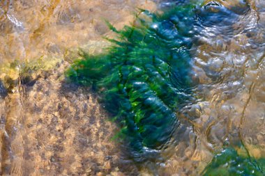 Nehirde yosunlarla kaplı yüksek açılı bir kaya görüntüsü.