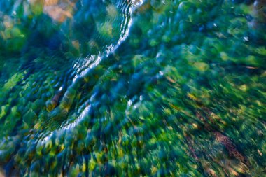 Nehirde yosunlarla kaplı yüksek açılı bir kaya görüntüsü.