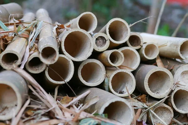 Los Troncos Bambú Secos Fueron Cortados Para Uso — Foto de Stock