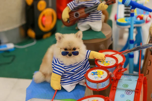Şirin bir müzisyen gibi giyinmiş akıllı bir köpek alışveriş merkezinde davul çalıyor..