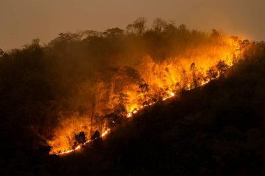 Geceleri dağdaki turuncu orman yangını dehşet verici görünüyor. Kuzey Tayland 'da toz ve zehirli dumana neden oluyor. Yazın Taylandlılar için büyük bir sorun..