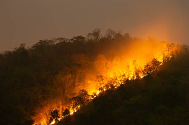 Geceleri dağdaki turuncu orman yangını dehşet verici görünüyor. Kuzey Tayland 'da toz ve zehirli dumana neden oluyor. Yazın Taylandlılar için büyük bir sorun..