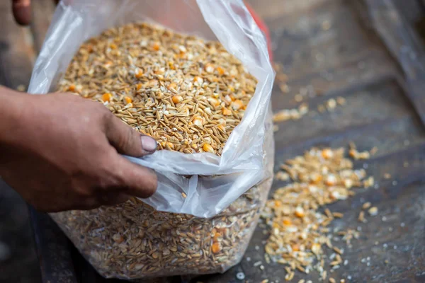 Paddy ve mısır temiz plastik torbalarda beslenir. Hayvan yemi olarak kullanırlar. Çiftlikte tavuk yemi olarak..
