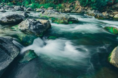 Yeşil yosunlu temiz su akıntıları yazın nehir suyu seviyelerindeki düşüş nedeniyle kayalarda yetişir..