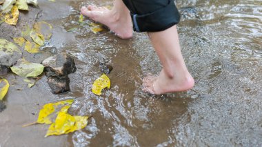 Yakın plan, sarı yapraklar suya düşüyor, ve bir kadın çıplak ayakla yürüyor yazın rahatlama hissi veriyor.