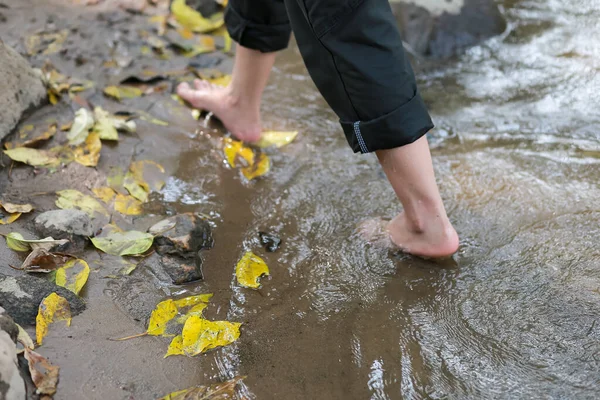 Yakın plan, sarı yapraklar suya düşüyor, ve bir kadın çıplak ayakla yürüyor yazın rahatlama hissi veriyor.