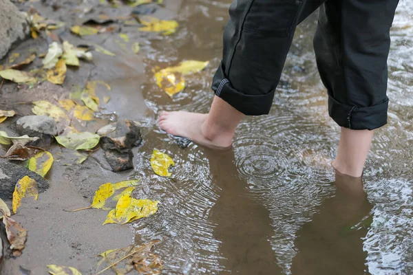 Yakın plan, sarı yapraklar suya düşüyor, ve bir kadın çıplak ayakla yürüyor yazın rahatlama hissi veriyor.
