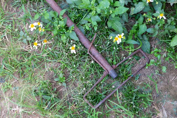 Yakın plan, paslı çelik paspasın süresi dolmuş. Çimlere bırakıldı. Paslı eski demir, geri dönüşüm.