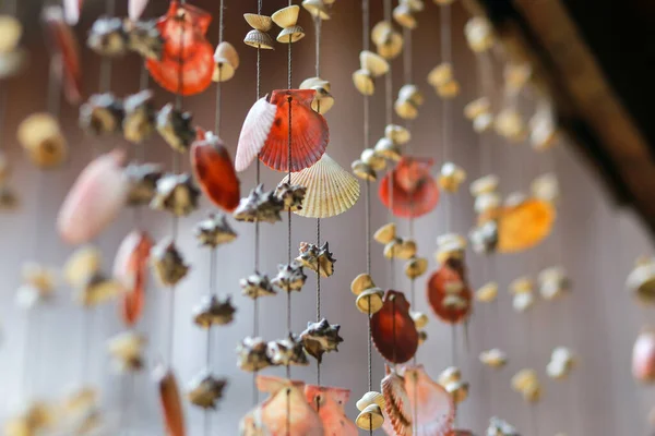 Deniz kabuğu Dış Tasarım Ev Dekorasyonu Güzel görünüyor, eğer doğaya göre yaşarsan, daha güzel olabilir..