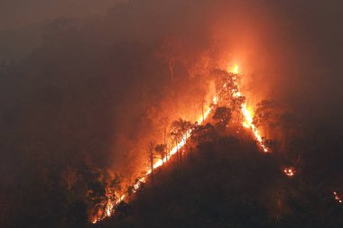 Ormanda geceleri orman yangını çıkan bir dağ üzgün görünüyor, Tayland 'da başbakanın nedeni 2,5 duman..