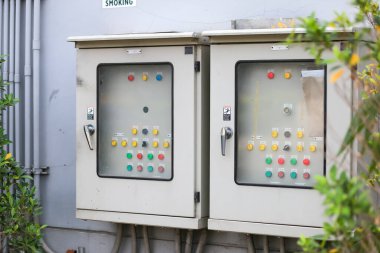 Eski tip elektrik kontrol kutusu, parka büyük bir duvar monte edilmiş kutu sıradaki, kendi güzel ağaçlarınızı dikin..