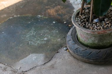 Yakın plan, eski motosiklet yarış lastikleri, saksı olarak kullanılmak üzere tasarlanmış. Atıkları azaltmanın, küresel ısınmayı azaltmanın faydalarına sahip olmak için geri dönüşüm