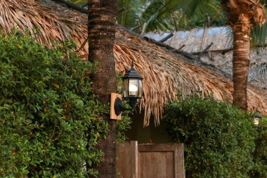 Lamba dizaynı, güzel şekilli, hindistan cevizi ağaçları, yeşil ağaçlar, evin önündeki çitler Tayland 'da doğal kuru yapraklar..