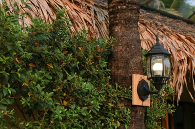 Lamba dizaynı, güzel şekilli, hindistan cevizi ağaçları, yeşil ağaçlar, evin önündeki çitler Tayland 'da doğal kuru yapraklar..