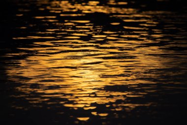 Doku su yüzeyine yakın çekim, hassas şekil. Gökyüzündeki ışığı yansıt, bak ve rahat hisset Su yüzeyi arkaplan resmi tasarımı