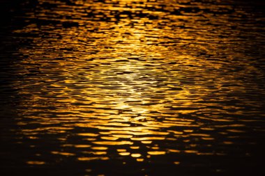 Doku su yüzeyine yakın çekim, hassas şekil. Gökyüzündeki ışığı yansıt, bak ve rahat hisset Su yüzeyi arkaplan resmi tasarımı