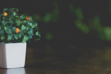 Dekoratif tasarım için güzel beyaz seramik kaplarda portakal ağacının yakın plan portakal ağacı. Sahte portakal ağacı mesajı için yer bırakın. Basit dekoratif plastik bitkiler