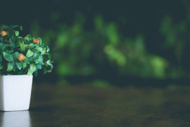 Dekoratif tasarım için güzel beyaz seramik kaplarda portakal ağacının yakın plan portakal ağacı. Sahte portakal ağacı mesajı için yer bırakın. Basit dekoratif plastik bitkiler