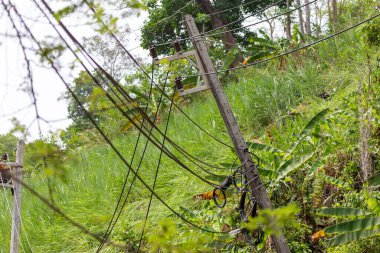 Elektrik direkleri yaz fırtınasından devrildi ve onarılmayı bekliyor..