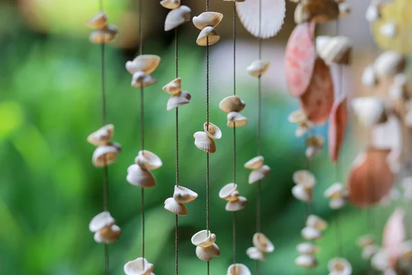 Seashell Outing Sea Hanging Design Home Decor Ornamenti Sembra Bello — Foto Stock