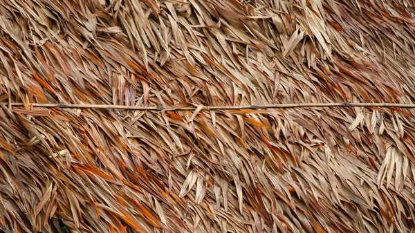 Nahaufnahme Textur Teil Des Daches Mit Palmblättern — Stockfoto