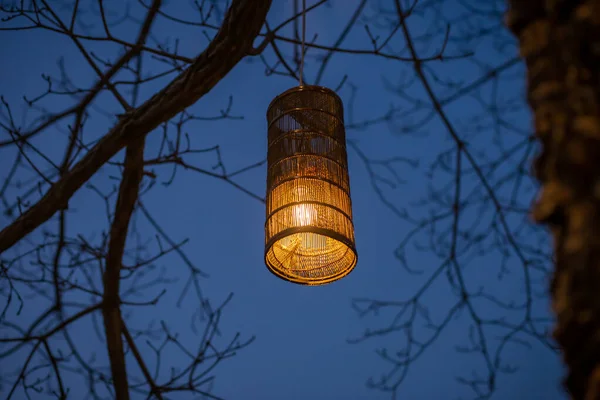 Lâmpadas Vintage Close Luzes Laranja Árvore Decorada Com Iluminação Noite — Fotografia de Stock