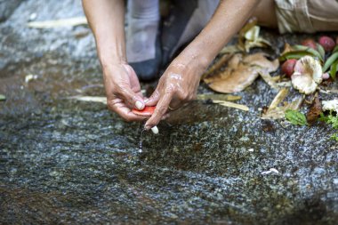 Vahşi mantarlar doğal akarsularda yıkanmaktadır. Yiyecek için orman arayanlar ve onları satılığa çıkaranlar, hayat kurtaranlar.