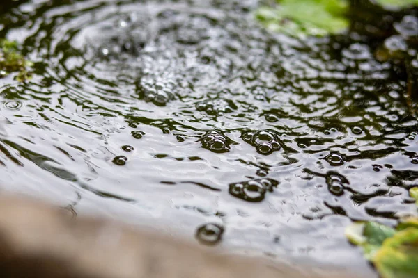 Luftblasen Auf Der Wasseroberfläche Fischteich Durch Füllung Mit Sauberem Wasser — Stockfoto