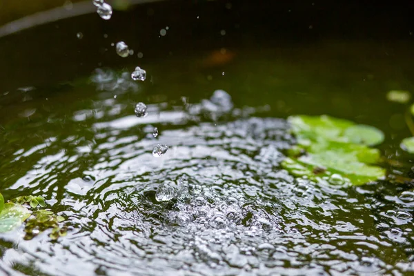 Bulles Air Sur Surface Eau Dans Étang Poissons Remplir Avec — Photo