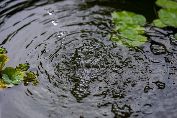 Gelembung Udara Pada Permukaan Air Kolam Ikan Dari Pengisian Dengan — Stok Foto