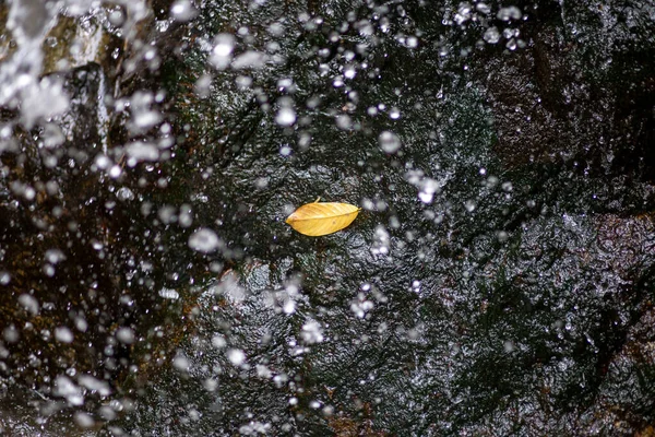Селективный Фокус Желтые Листья Водопада Стена Водопада Всегда Выглядит Влажной — стоковое фото
