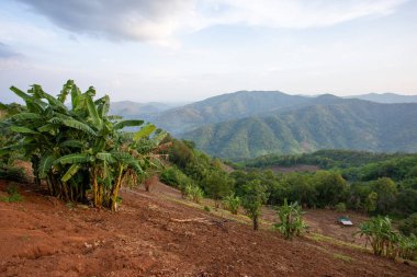 Manzara. Dağ ormanları geri çevrildi, doğal tarım alanları, orman alanları tepe kabilelerinin tarımından azaldı..