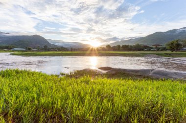 seçici odak noktası açık yeşil çimenler nehir dağı manzarası günbatımı sis bulutları dağ yağmurları açık gökyüzü açık nehir açık yeşil çimenler serin, ferahlatıcı bir duygu verir arka planda