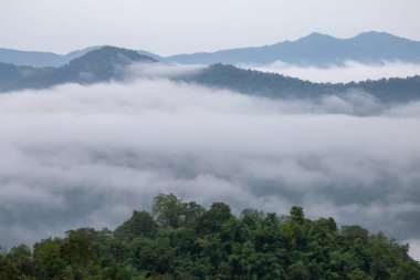 Sabahları sisli dağ sırası çok güzeldir. Metin için serin ve ferahlatıcı bir arkaplan görüntüsü ve boşluk verir