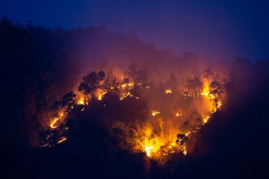 Gün batımından sonra dağların tepesindeki orman yangınları yangının turuncu parıltısını daha net görmeye başladı. Havada süzülen zehirli tozun sebebi buydu. Mavi gökyüzü arkaplanı