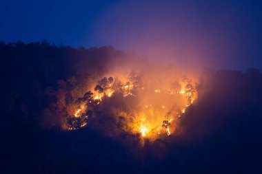 Gün batımından sonra dağların tepesindeki orman yangınları yangının turuncu parıltısını daha net görmeye başladı. Havada süzülen zehirli tozun sebebi buydu. Mavi gökyüzü arkaplanı