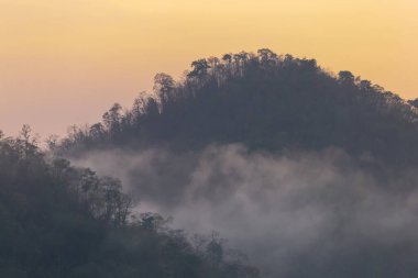 Orman, dağdaki ağaçlar, sabahları ince bir sis, yağmurun neden olduğu gece. Yaz fırtınasından sonra Tayland 'da yaz ormanı. Ama iyi hava yapar. Orman yangınlarının sebep olduğu toz ve dumanı temizler..