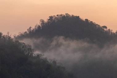 Orman, dağdaki ağaçlar, sabahları ince bir sis, yağmurun neden olduğu gece. Yaz fırtınasından sonra Tayland 'da yaz ormanı. Ama iyi hava yapar. Orman yangınlarının sebep olduğu toz ve dumanı temizler..