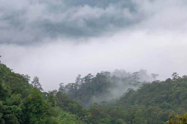 Cordilheira Nebulosa Manhã Muito Bonita Uma Sensação Legal Refrescante Imagem — Fotografia de Stock