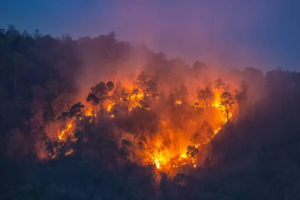 Les Feux Forêt Sur Les Sommets Des Montagnes Dans Soirée — Photo