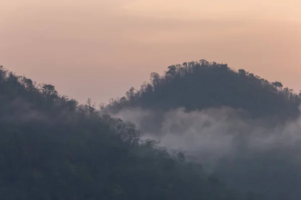 Floresta Árvores Montanha Com Uma Névoa Fina Manhã Causada Pela — Fotografia de Stock