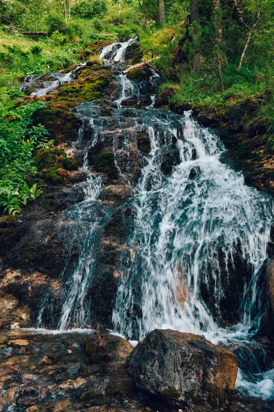 Ormanda küçük bir şelale