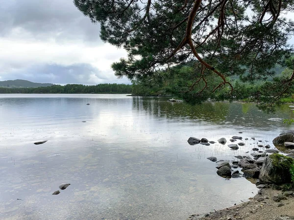 A view on a Norwegian fjords water front from a little beach situated in a green fresh forest by a rainy day