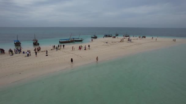 Drone Footage People Enjoying Sunny Beach — Stok video