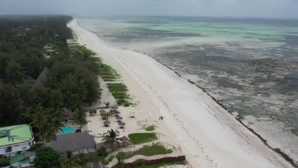 Boats Coast Zanzibar — Vídeo de Stock